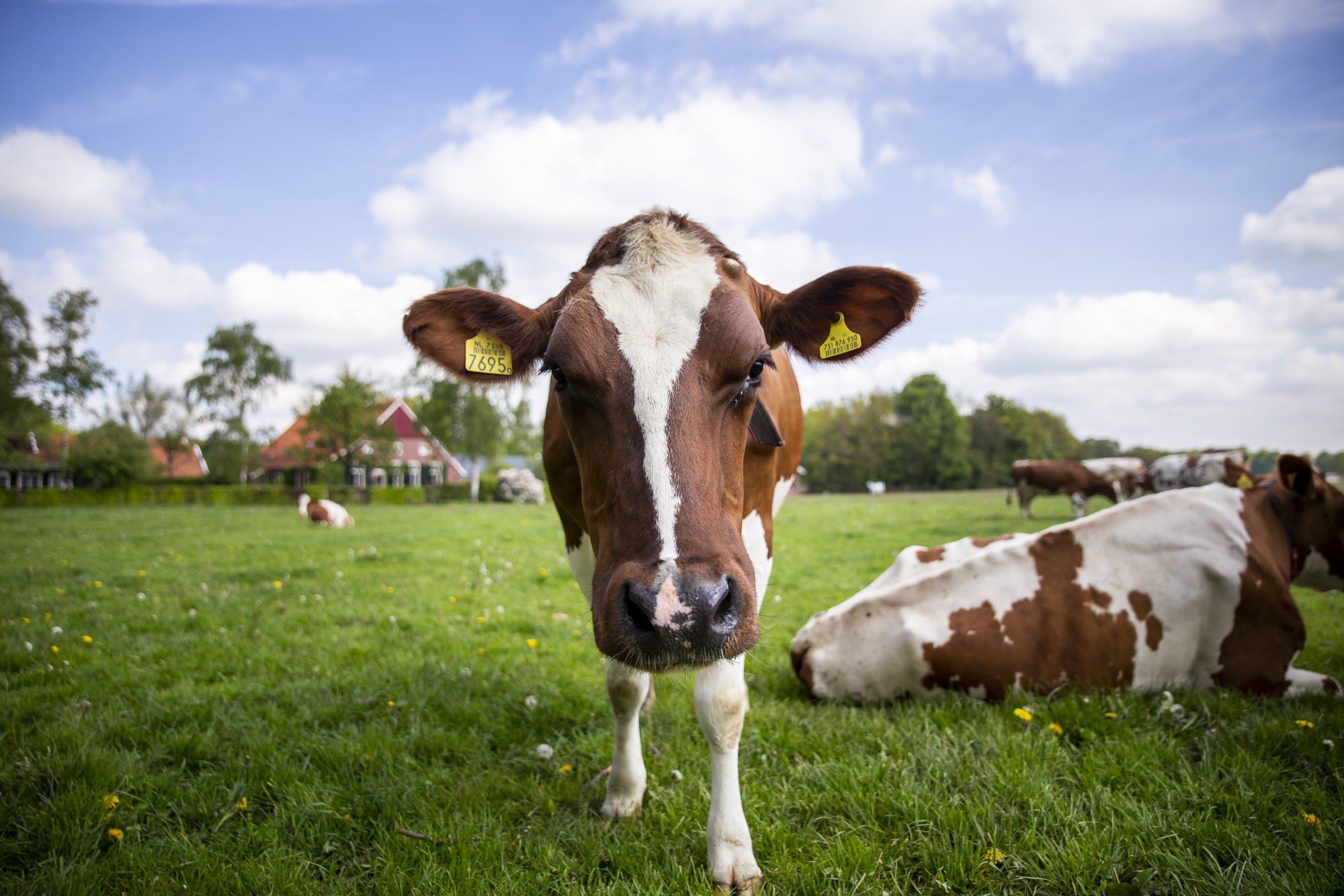 GNMF Scholten Lage Resolutie 2314