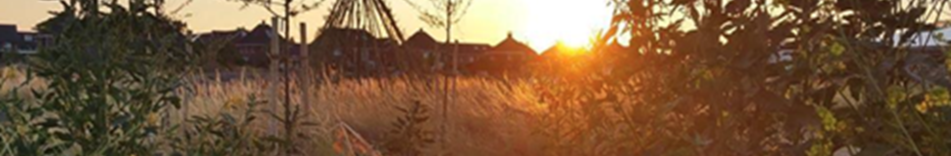 Voedselbos Nieuwe Erven