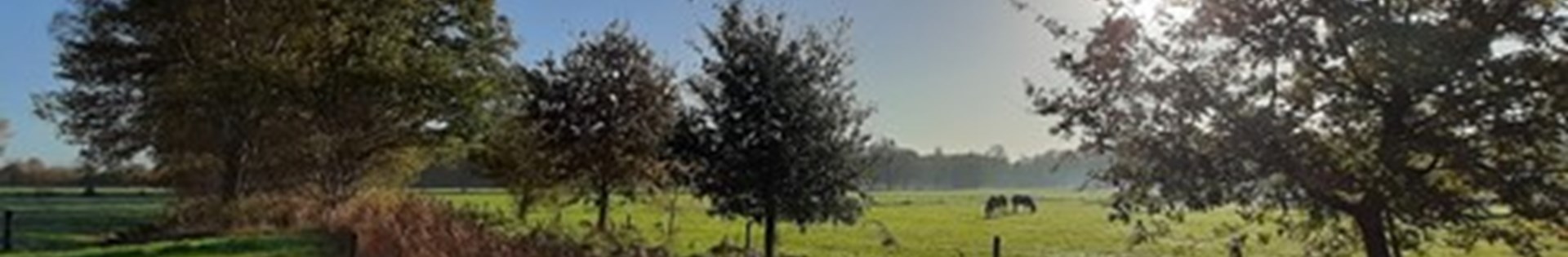 Houtwal_ondergaande zon_Brummen 2