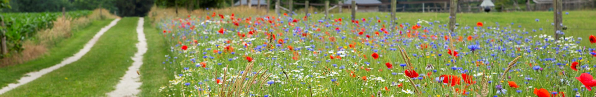 Platform Natuurinclusieve Landbouw