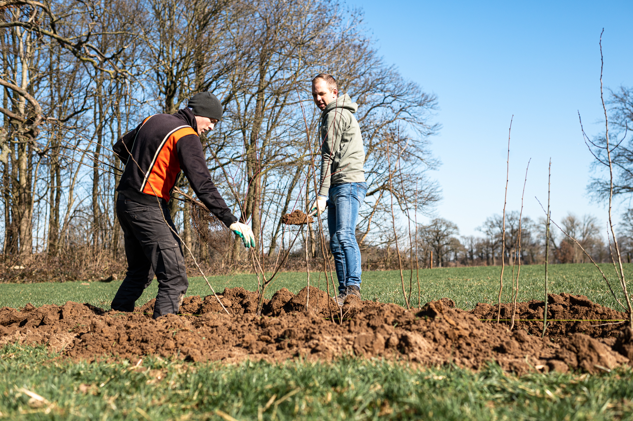 Aanplanting Website 055 Marcel De Bont Fotografie