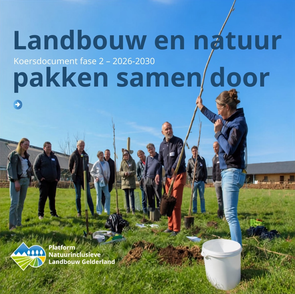 Nieuw