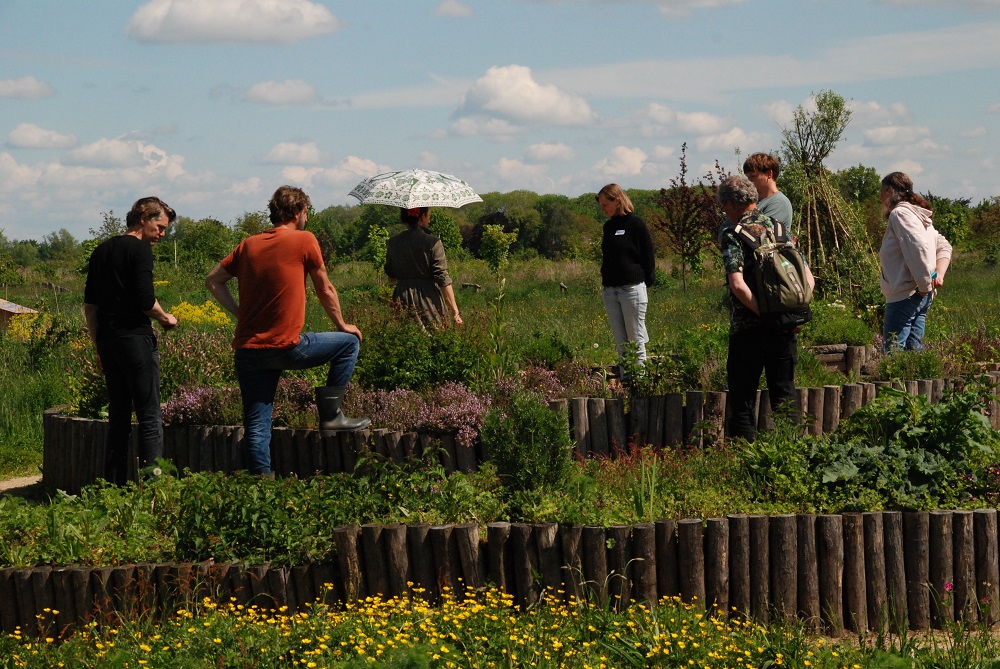 DSC 9746 Voedselbosklein