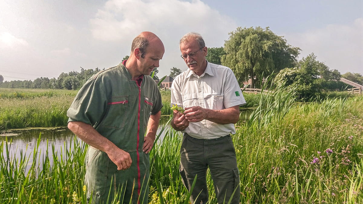 Natuurinclusieve Landbouw 11456 Hoeve Stein