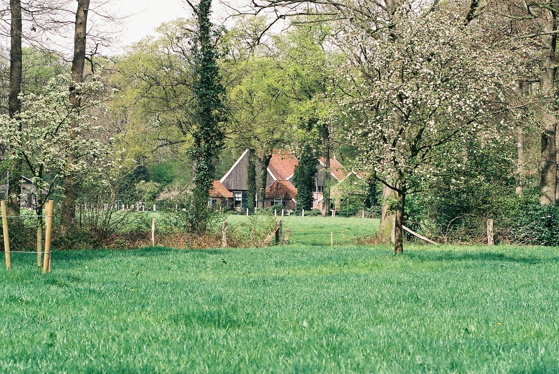 SLG Cursus Landschap Van Regio Achterhoek_weiland_bomen_boerderij