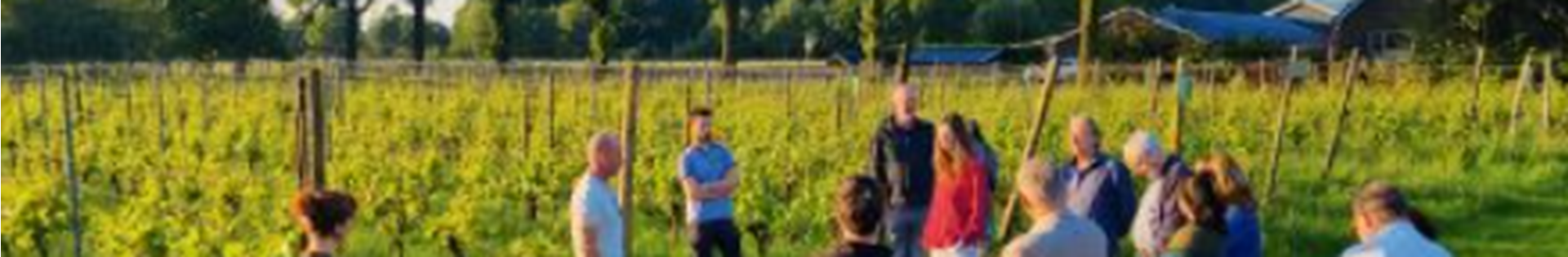 Schermafbeelding 2024 06 14 161003