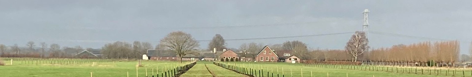 Interview Agroforestry