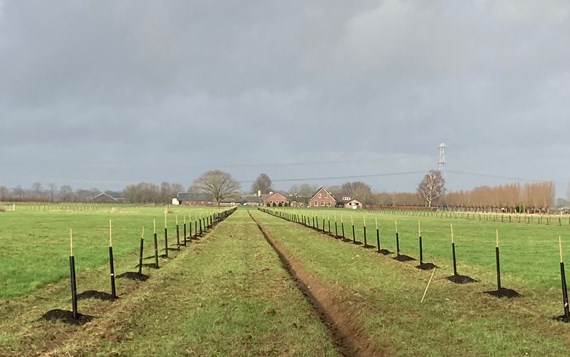 Interview Agroforestry