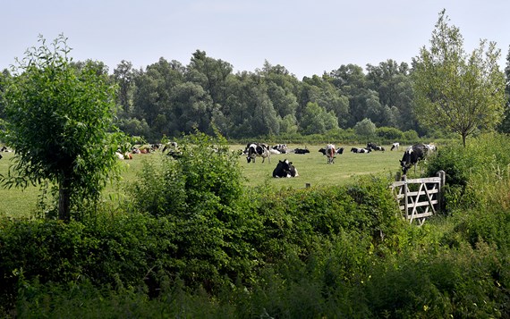 DSC 4861 2