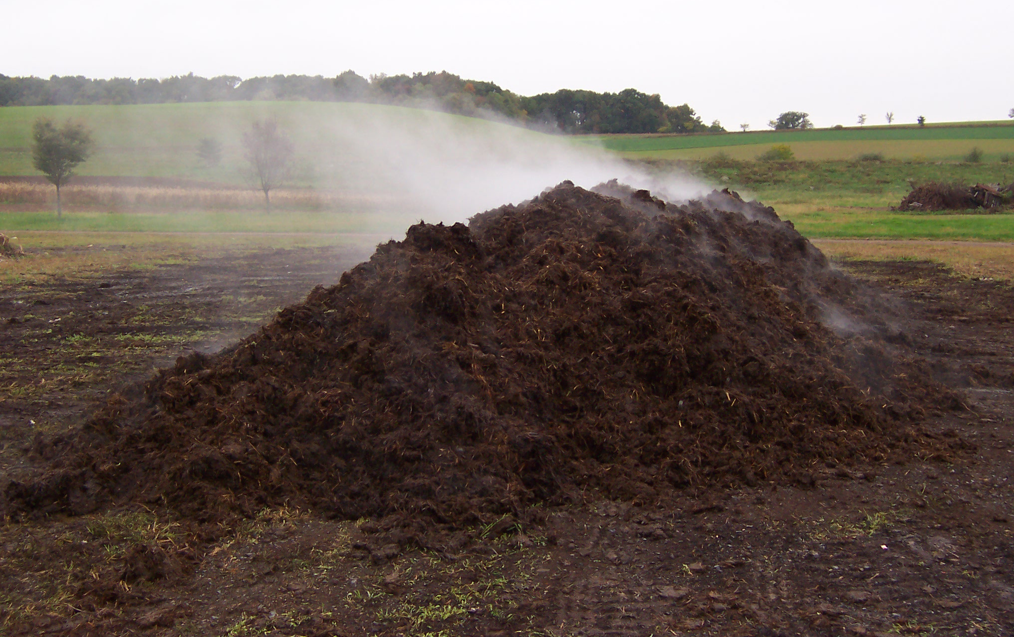 Compost Pile Steaming 06