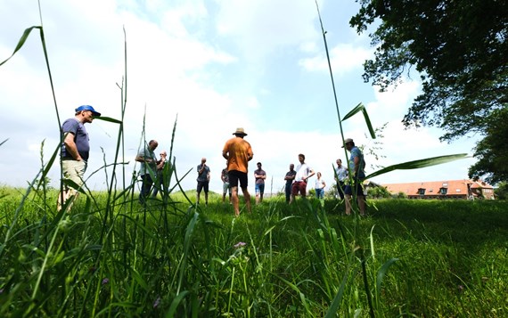 Veld En Beek72 37