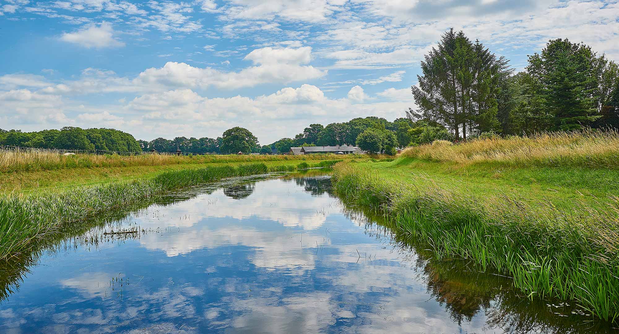 GNMF Gussink Landschap Beekje