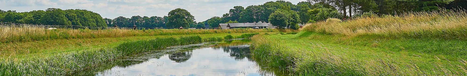 GNMF Gussink Landschap Beekje