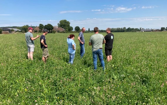 Discussie Van Aantal Deelnemers In Kruidenrijk Grasland Klein