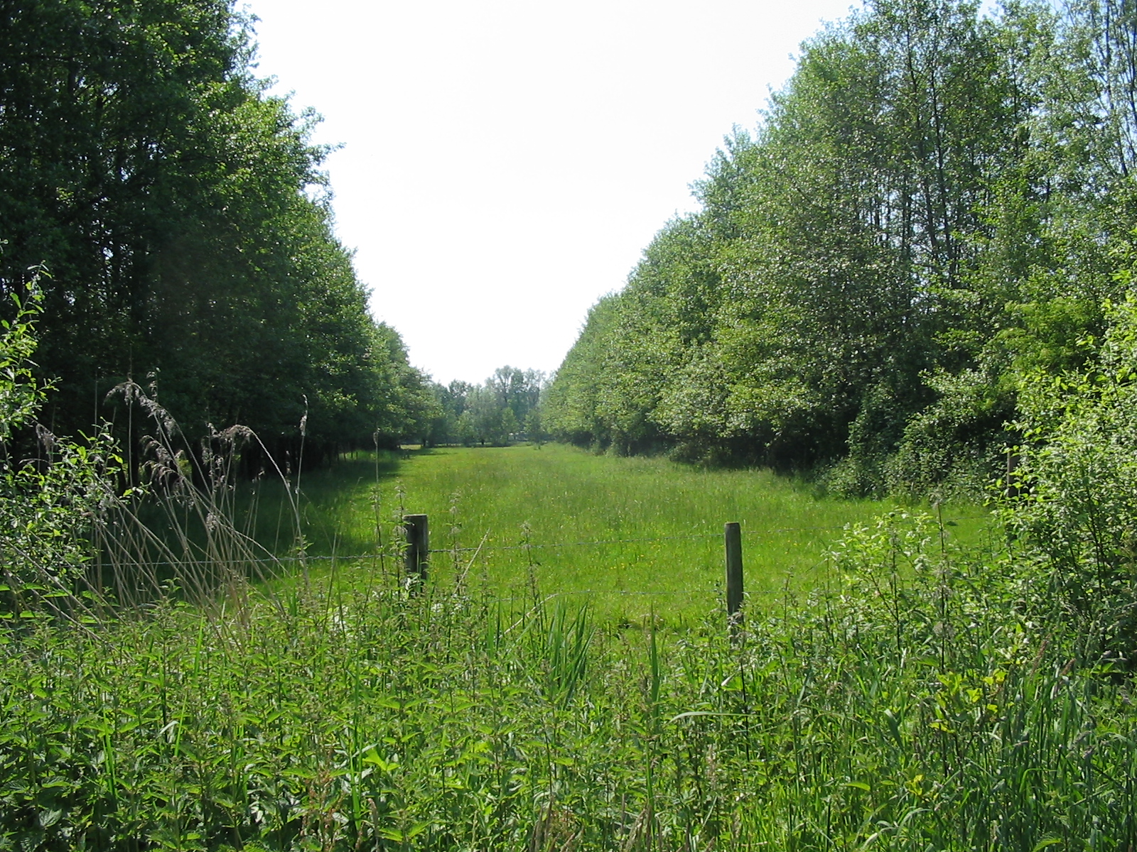 Aaltense Goor 2