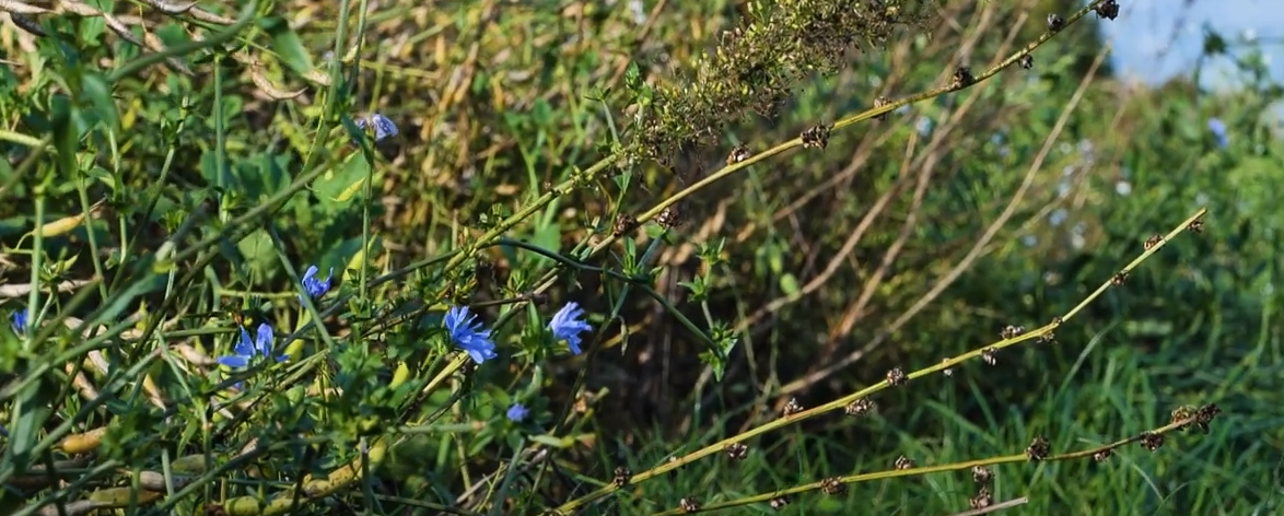 Schermafbeelding 2023 12 19 214644