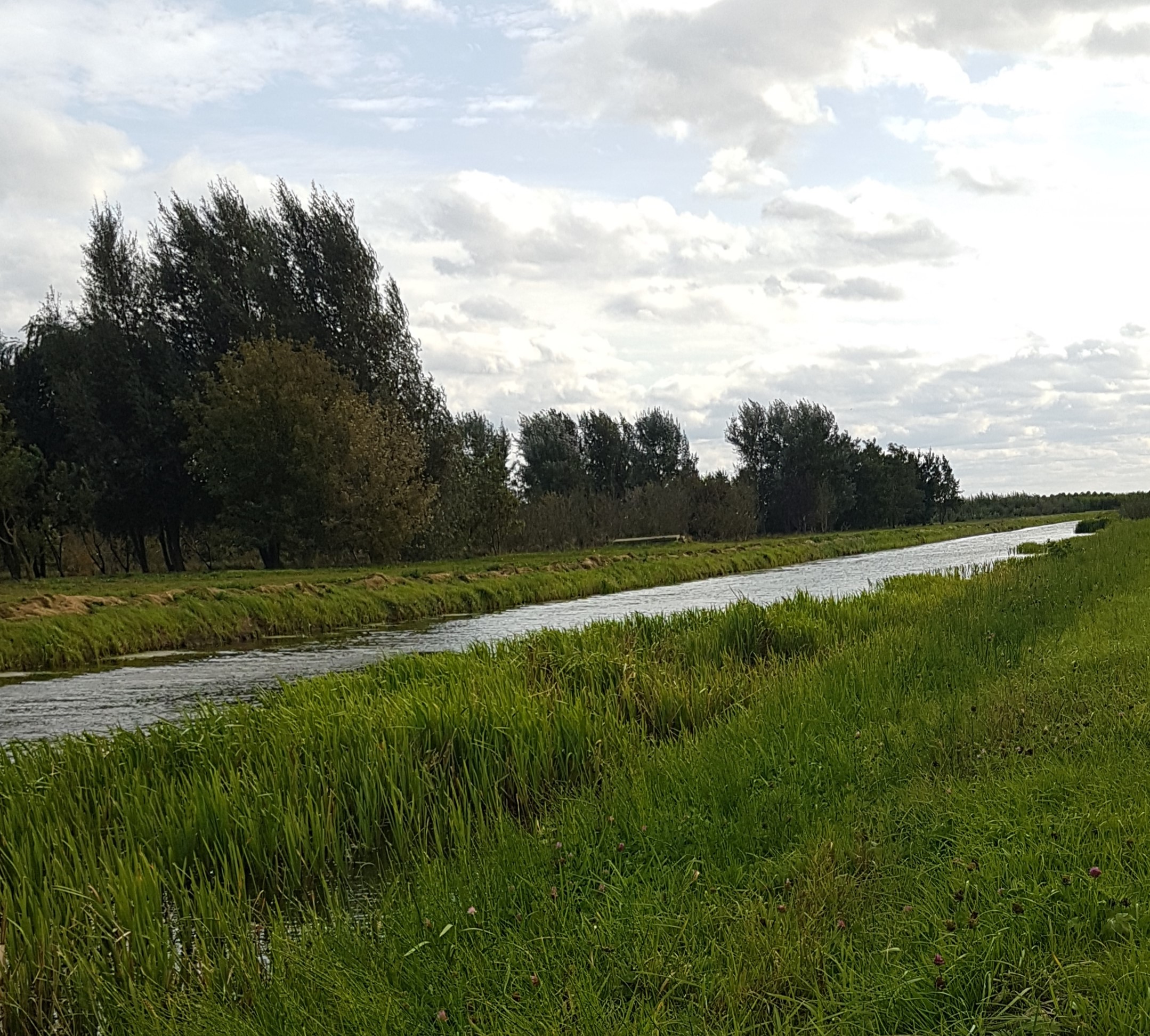 Natuurvriendelijke Oever (2)