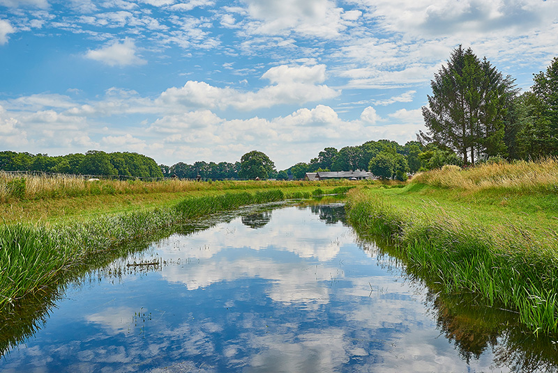 Platdorm Natuurinclusieve Landbouw Landschap Met Beekje