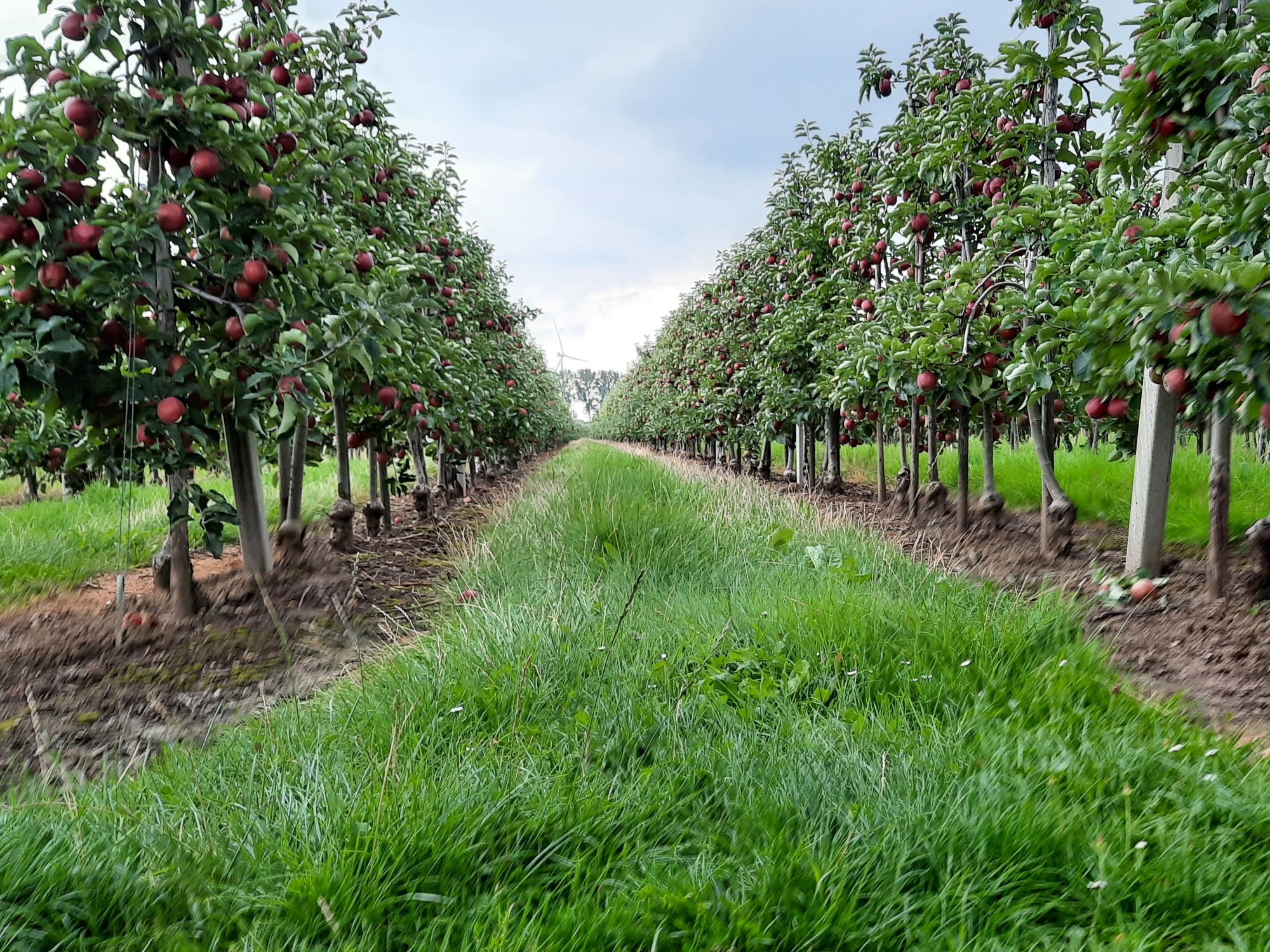 20230829 154433 Resized