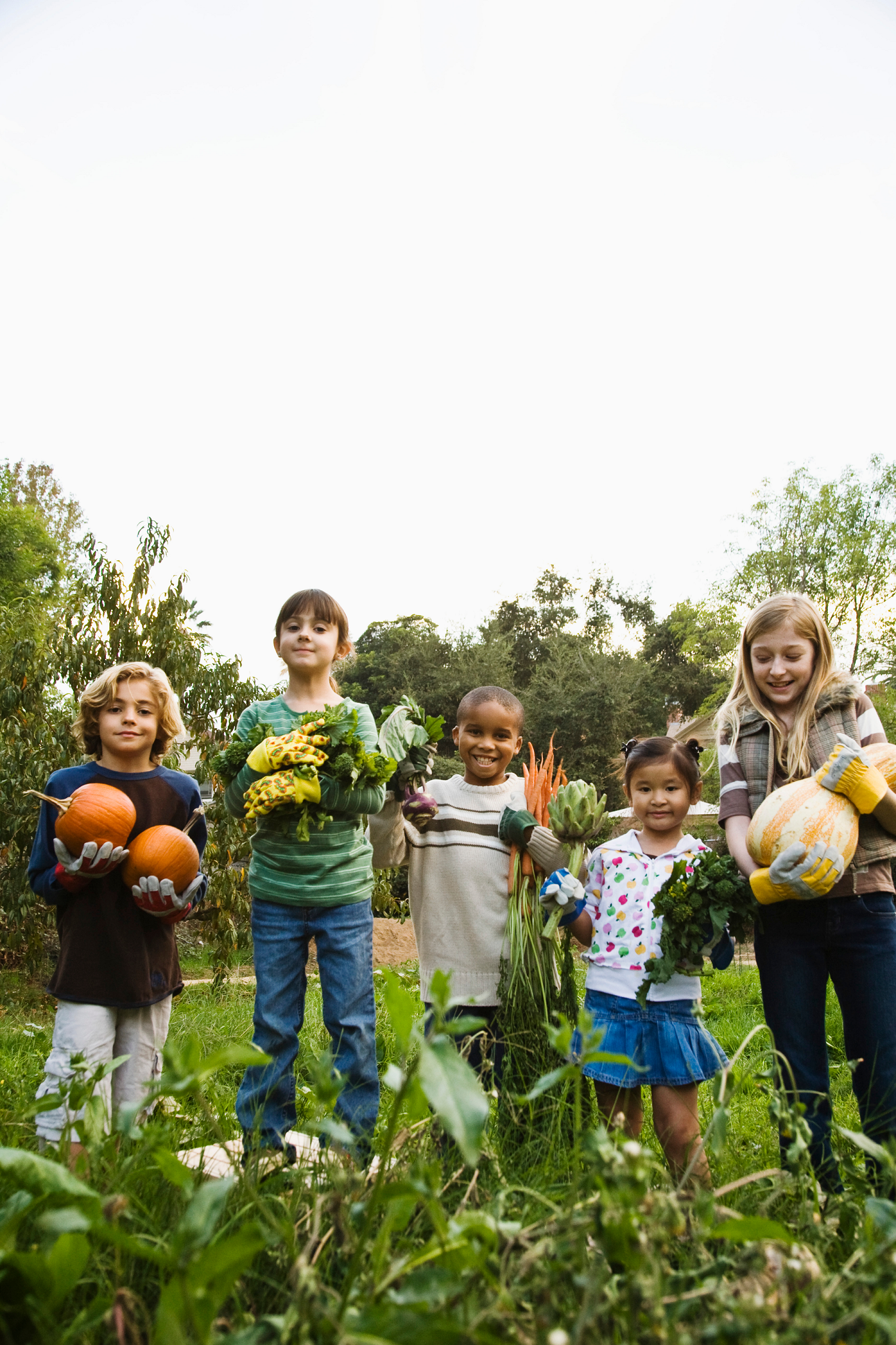 Educatieboeren Gezocht