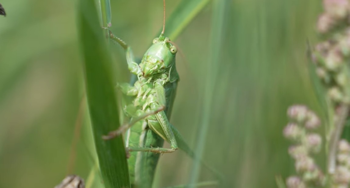 Schermafbeelding 2025 12 05 120839