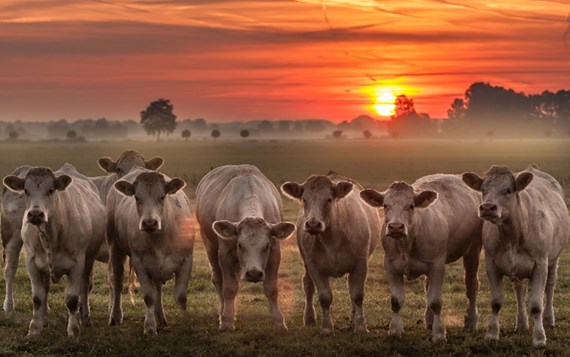 Afbeeldinglokaal (2)