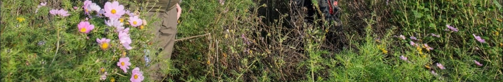 Boer Piet Brouwer En Boswachter1