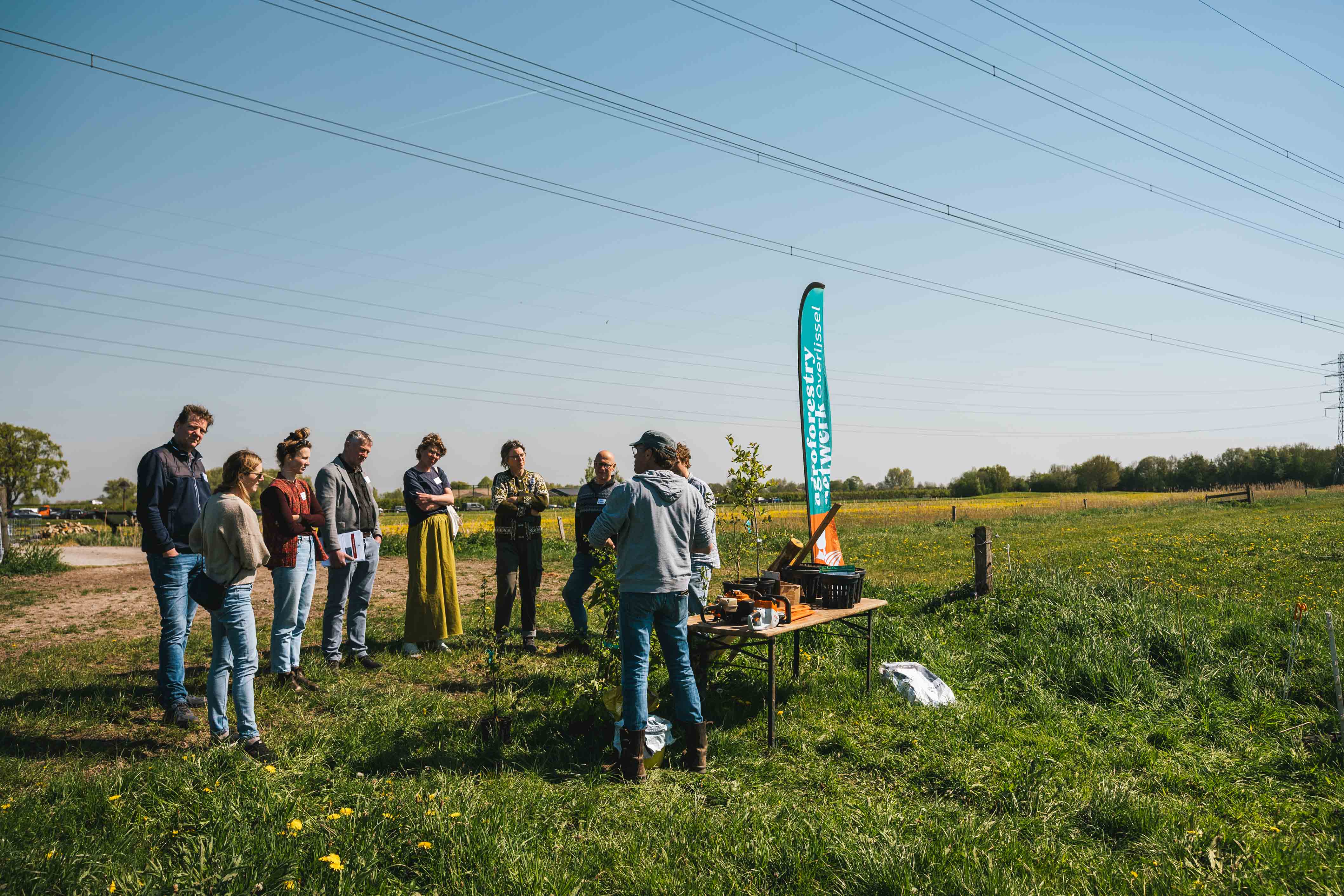 Landbouw Met Bomen Dag Voorselectie 5
