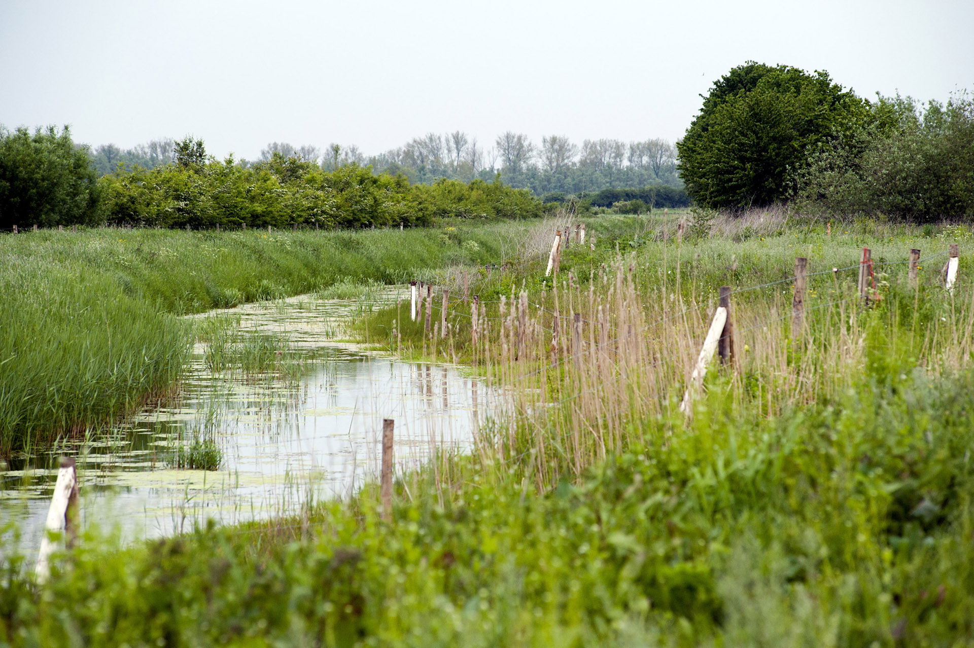 Sloten Met Natuurlijke Oevers Valentijn Te Plate_2