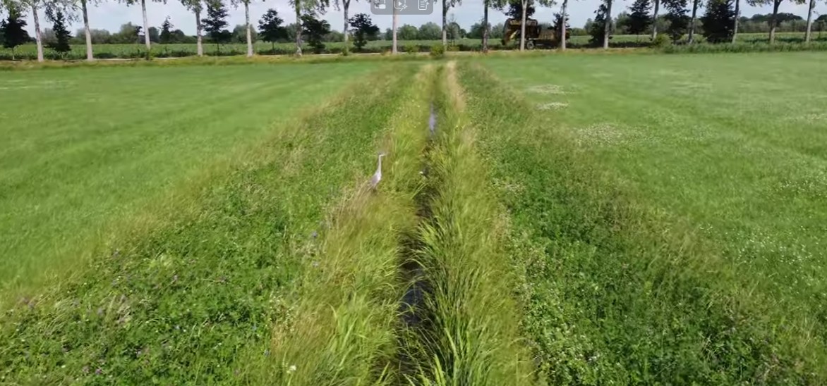 Schermafbeelding 2025 12 03 164959