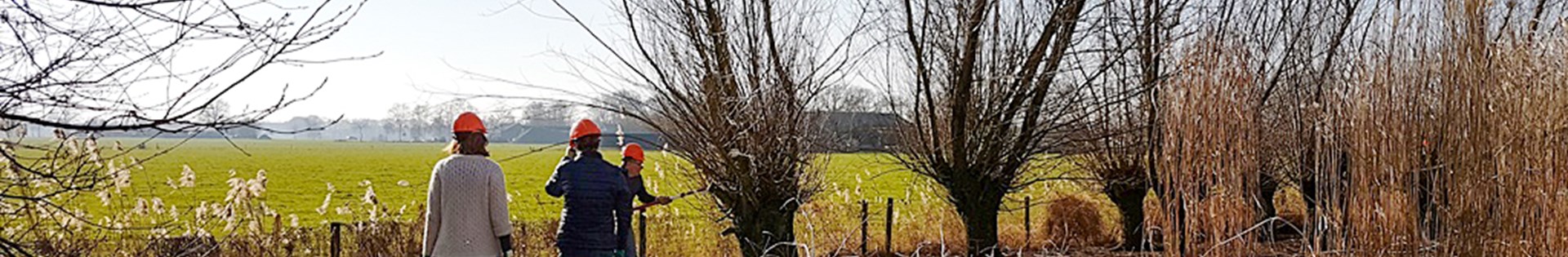 Werkdag Op De Lankerenhof