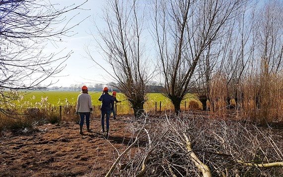 Werkdag Op De Lankerenhof