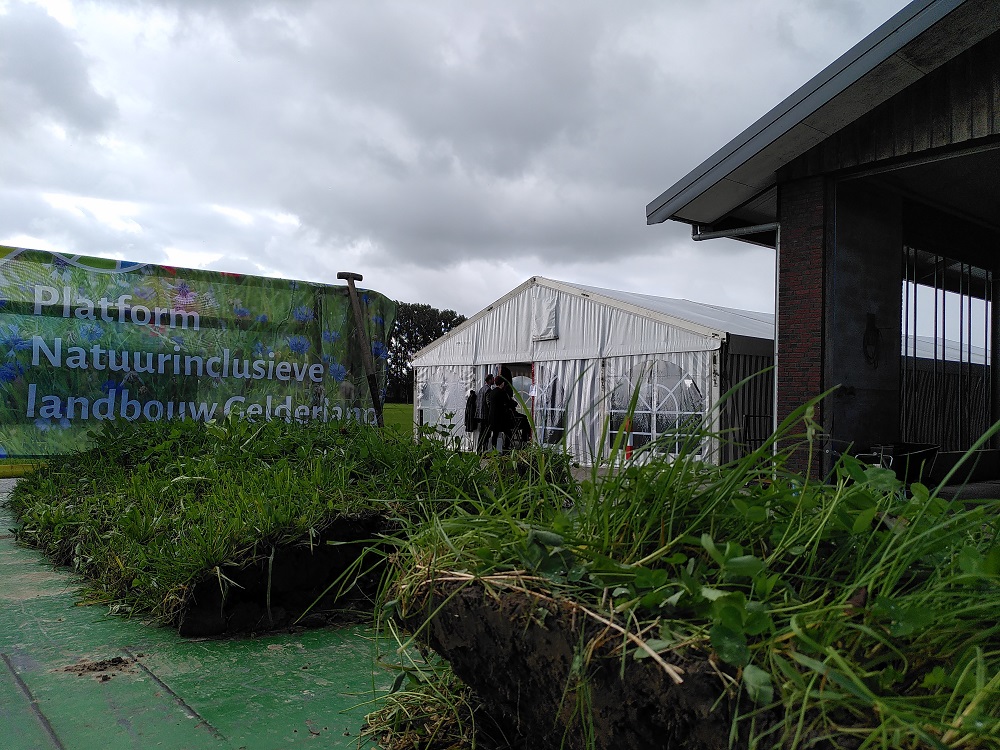 IMG 20211012 145154 Klein