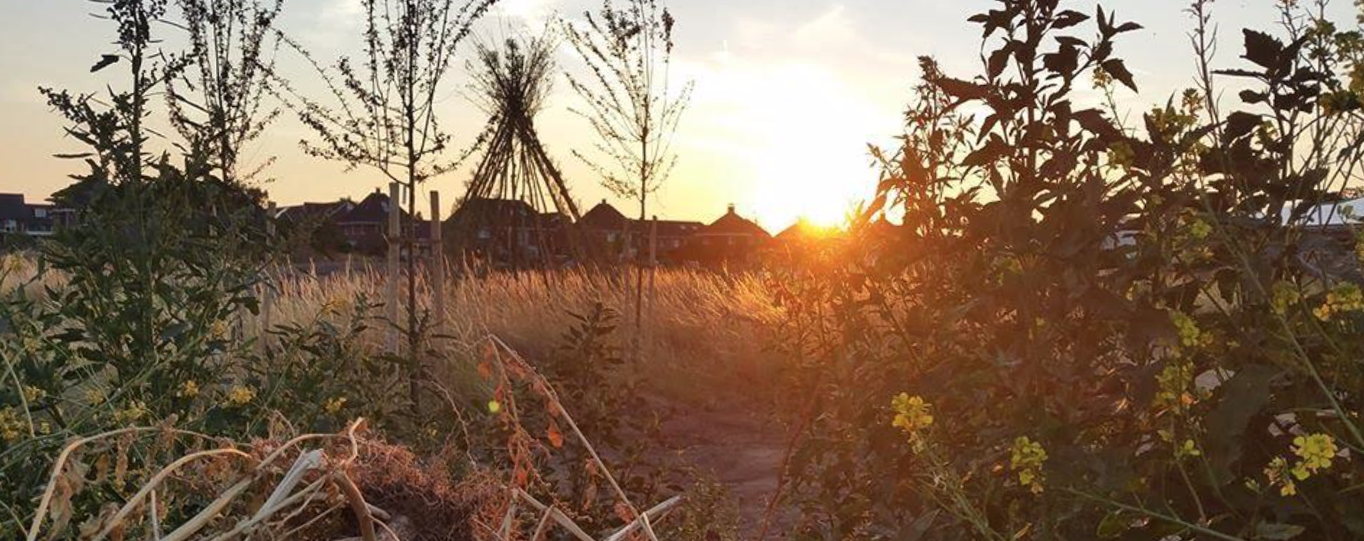 Voedselbos Nieuwe Erven