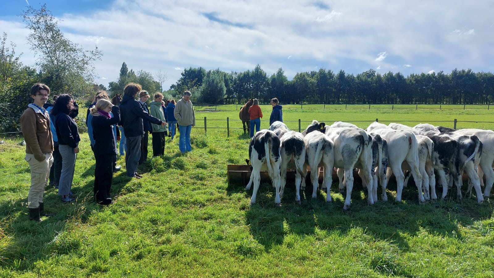 7B275316 50Bc 4B85 B043 F7855cb7f537