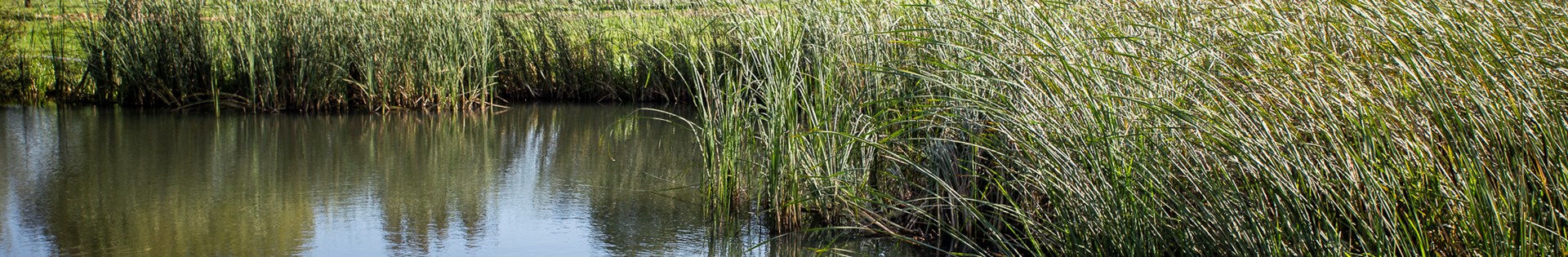 Waterrijk Gebied Liggend2