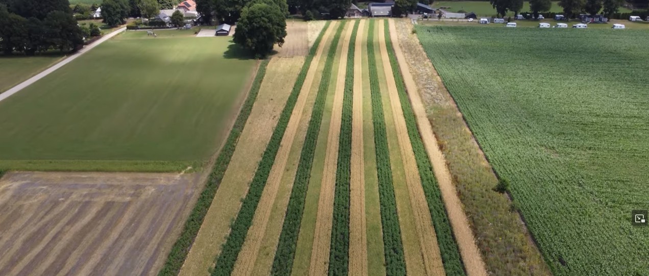 Schermafbeelding 2025 11 27 084118