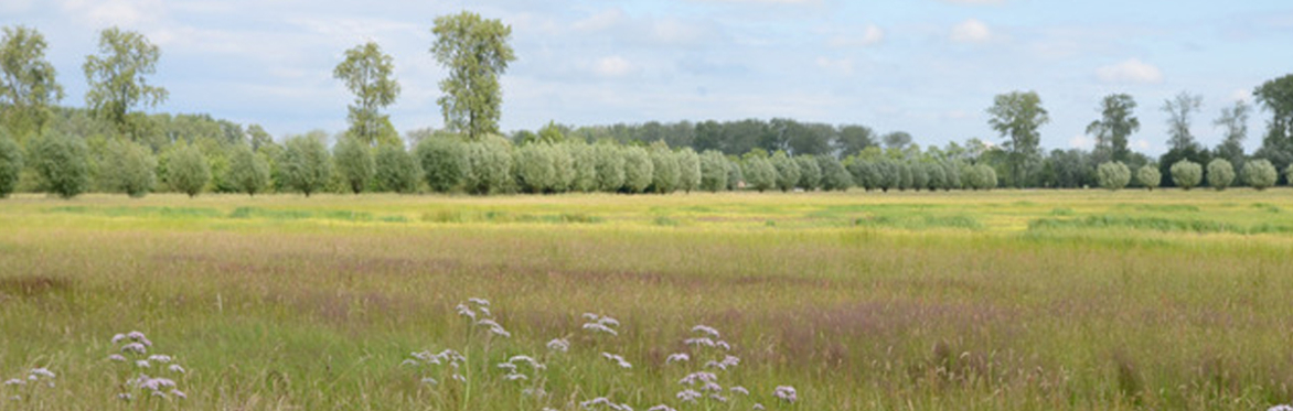 Yusjad0cr4hw4adp0mej