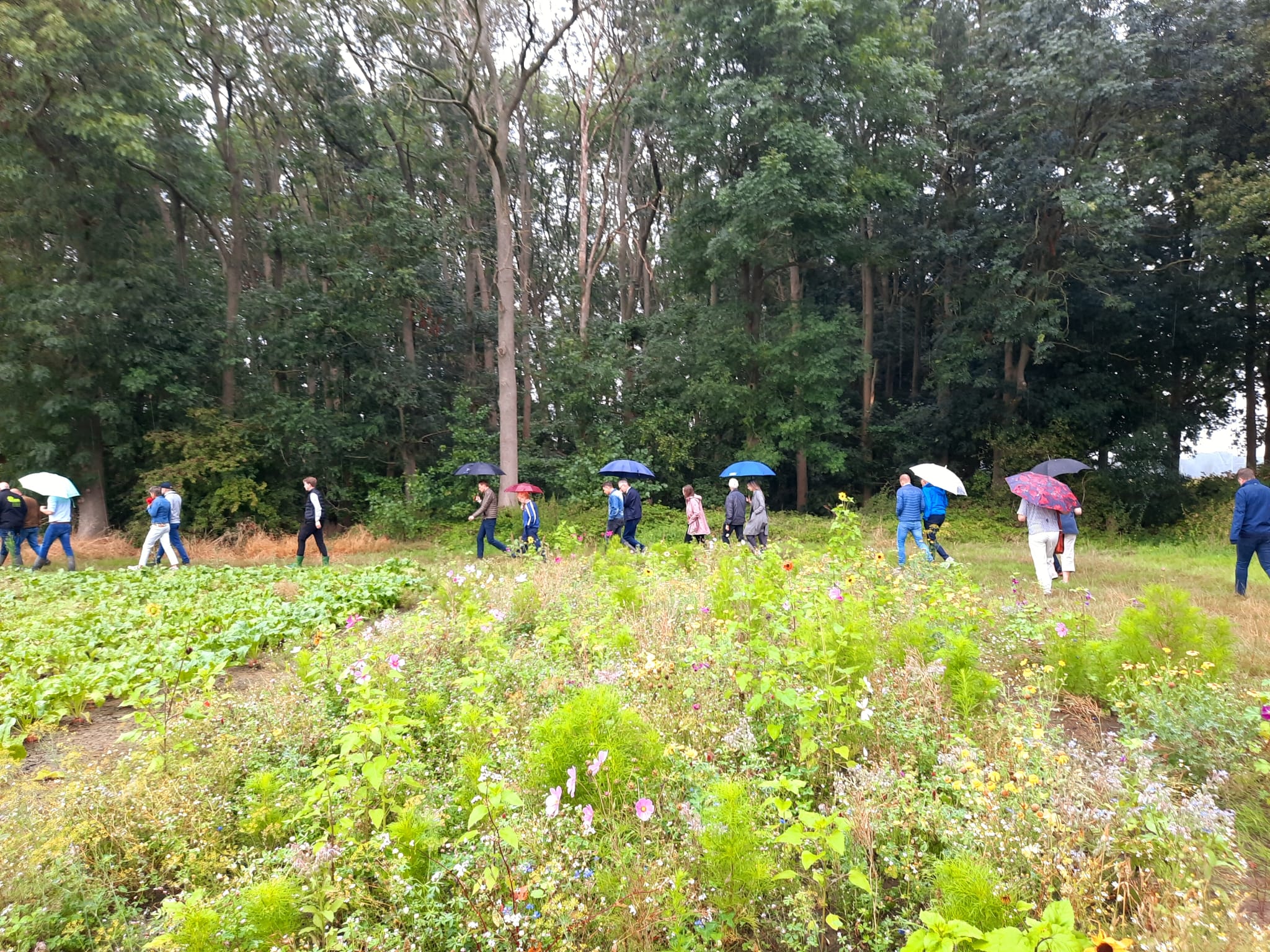 Whatsapp Image 2024 09 06 At 08.55.38 (2)