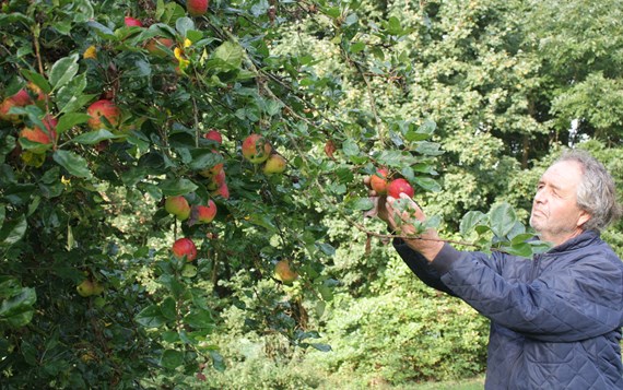 Appels plukken_20210922 Hekkert