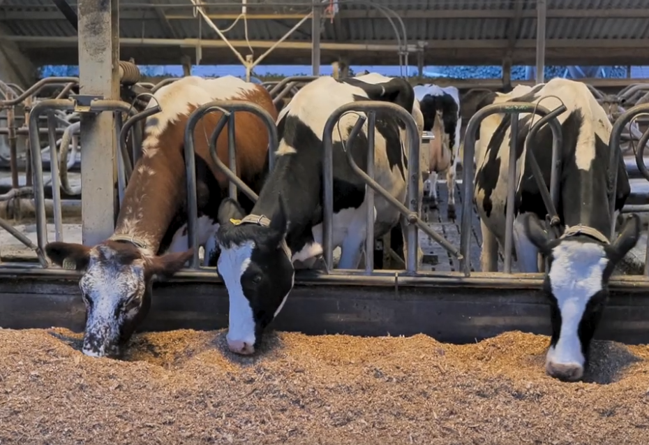 Schermafbeelding 2024 03 28 132846