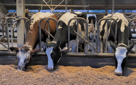 Schermafbeelding 2024 03 28 132846